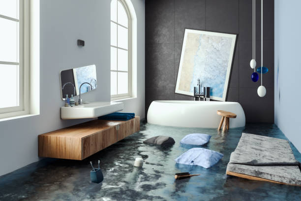 Best Water damage repair service  in Essex, MD