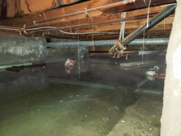 Best 24-hour water damage restoration  in Essex, MD