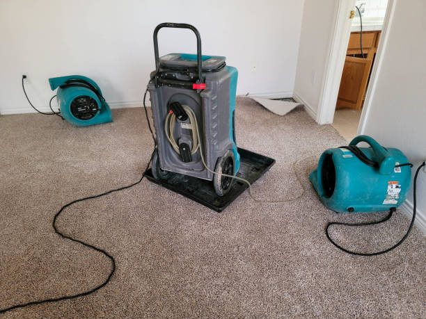 Best Residential water damage restoration  in Essex, MD