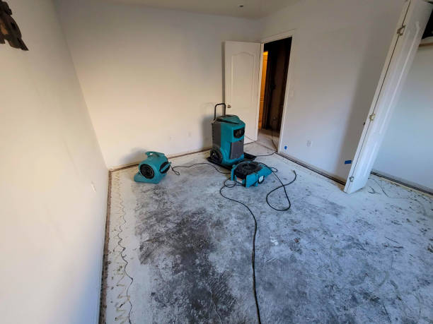 Best Water damage cleanup near me  in Essex, MD