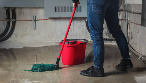 Best Professional water damage repair  in Essex, MD