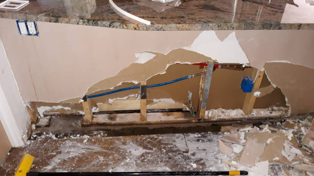 Best Flooded house restoration  in Essex, MD
