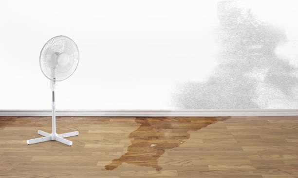 Best Commercial water damage restoration  in Essex, MD