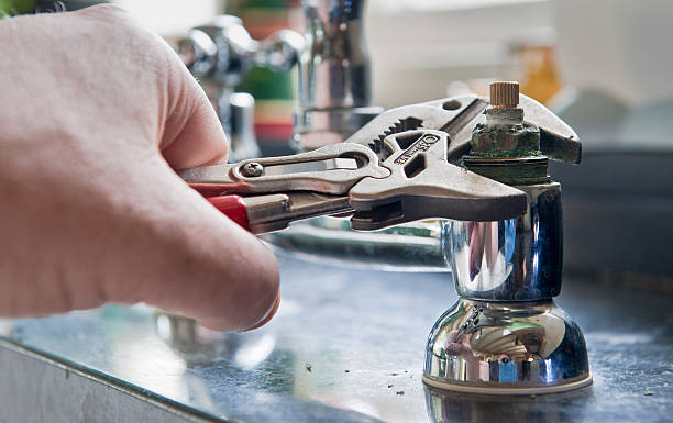 Best Local water damage restoration  in Essex, MD