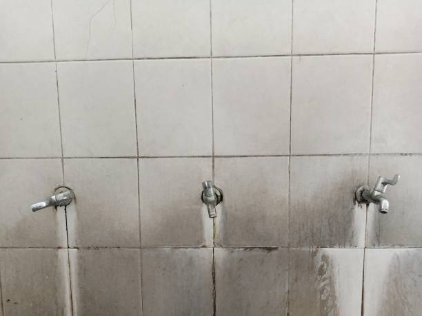 Best Residential water damage restoration  in Essex, MD