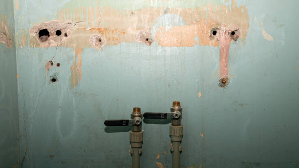 Best Water damage restoration experts  in Essex, MD