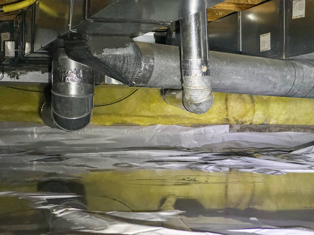 Best Water damage cleanup near me  in Essex, MD