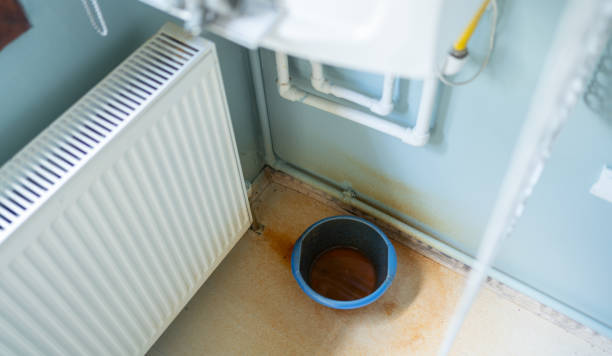Best Fire Damage Restoration  in Essex, MD