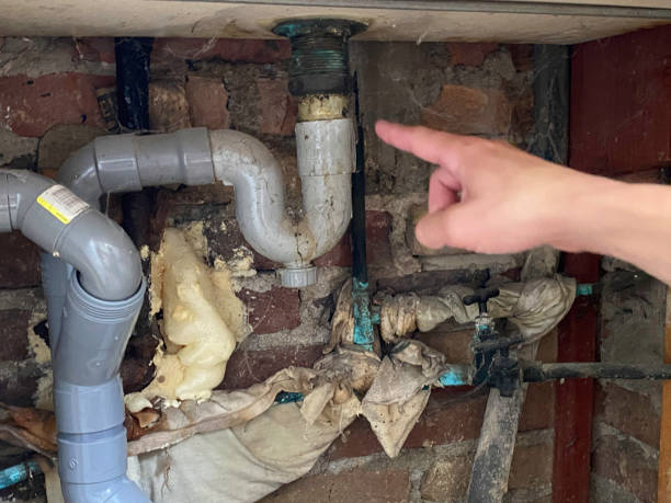 Reliable Essex, MD Water damage restoration Solutions