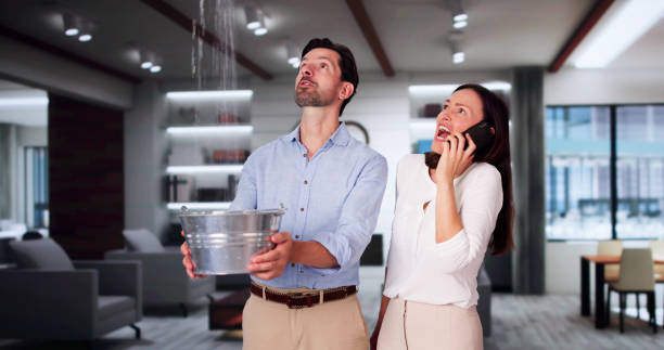 Best Water damage restoration near me  in Essex, MD