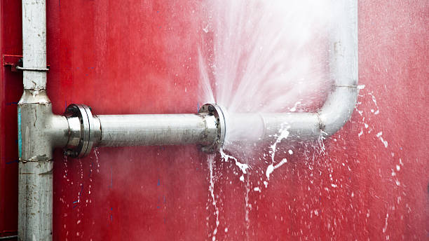 Best Local water damage restoration  in Essex, MD